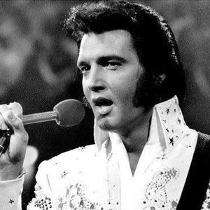 Meet your Posher, Wesley